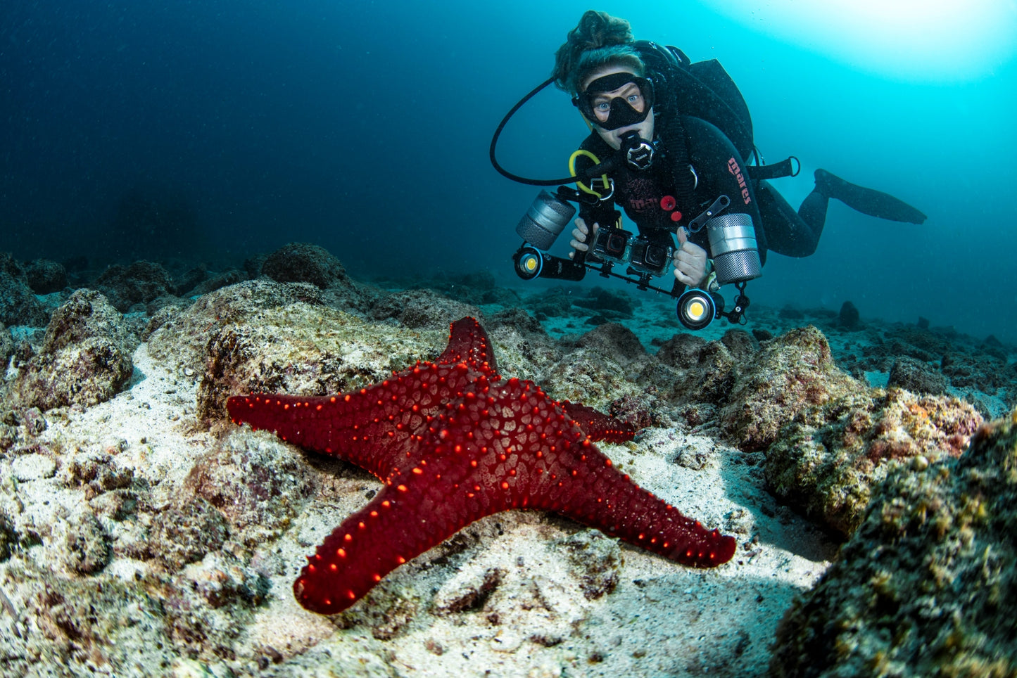 Liveaboard to Darwin & Wolf Dec 23rd